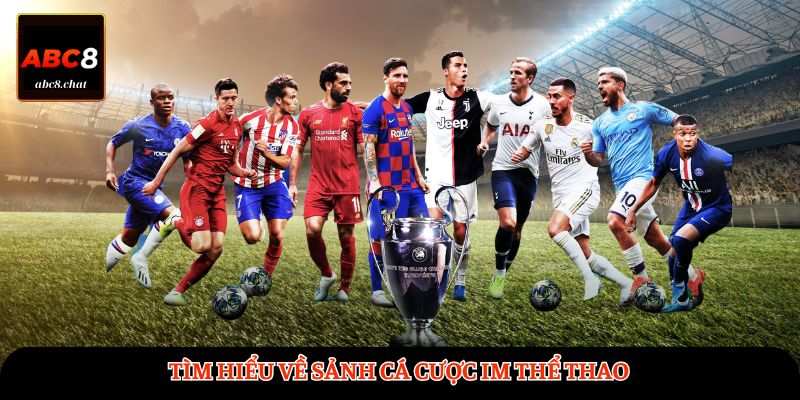 Tìm hiểu về sảnh cá cược IM Thể Thao